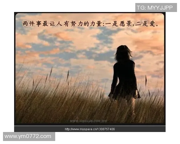 深度对话王芳排球人生的起伏与坚持背后的故事分享